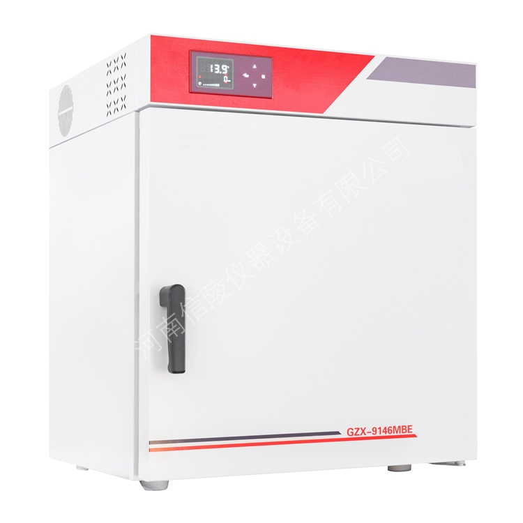 300度恒温鼓风干燥箱BGZ-306定时编程控温