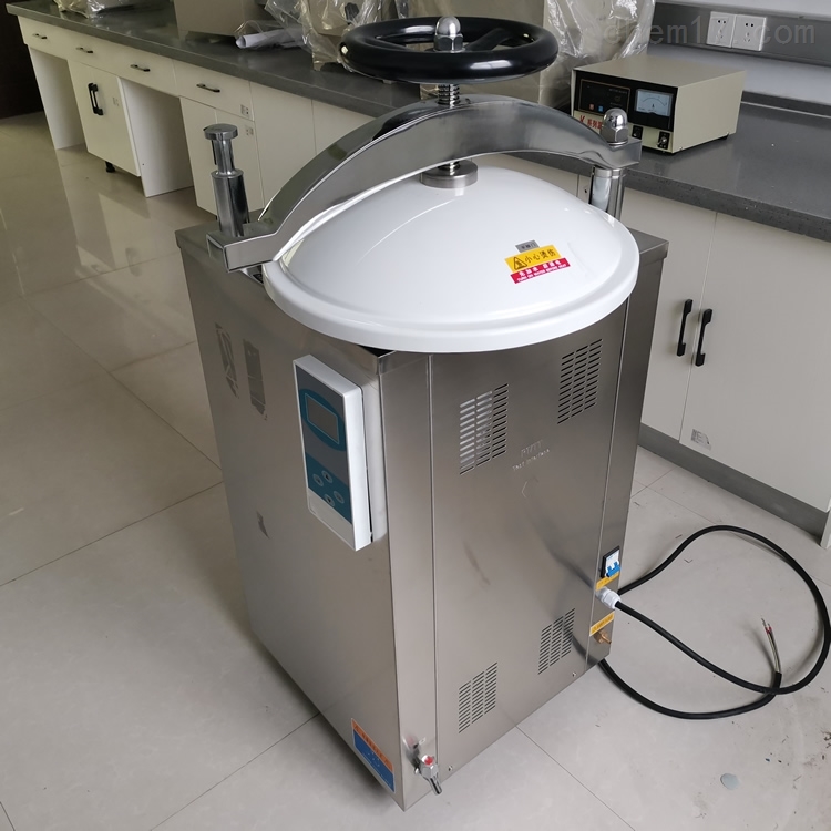 100升压力蒸汽消毒锅 不锈钢LS-100HD灭菌锅